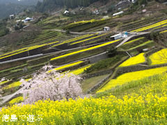 ���� ���� �ڤβ� 2013