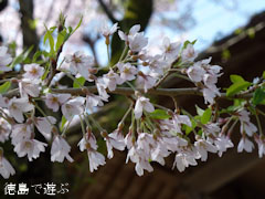 ��Ʋ �Ҥ礦����� 2012