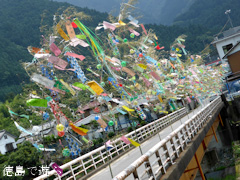 ���縩̾��������Į ��ʬ��̱�� ��14�� ��ʬ��ͼ���� 2014