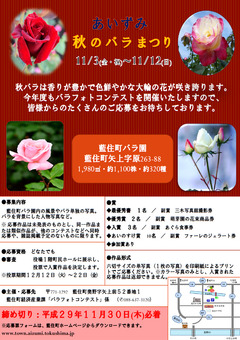 徳島県板野郡藍住町 あいずみ 秋のバラまつり 2017