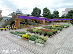 ���� �ƿͷ� �Ʋ�Ÿ 2010