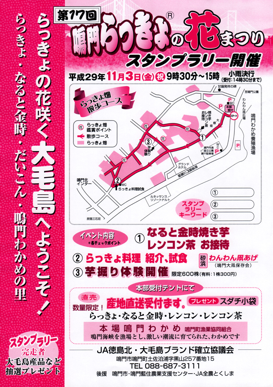 鳴門らっきょの花まつり 17 あるでよ Blog