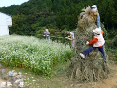 ���� �����β� 2012 ���� ����Τ ������β�