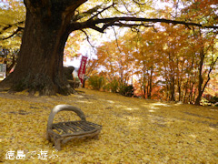 �绳�� �����祦 ���� 2013