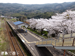 ���縩���ϻԷ��Į JR�͹� ������ �����