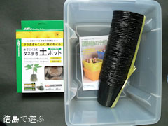 吉良のエドヒガン桜 種蒔き準備