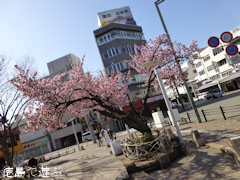 ξ������� ���� 2013