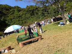 ダブルフェスタ2013 in なると