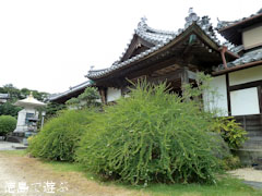 萩寺 最明寺 萩の花 2010
