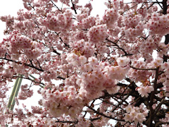 ξ������� ���� 2014