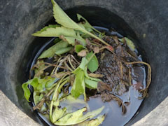 ������������� ���ѿ�ʪ�� 2012