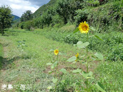 �֡���Τ�褳�� �Ҥޤ�� ������ 2010