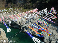 鯉のぼり 大歩危峡を泳ぐ 2011