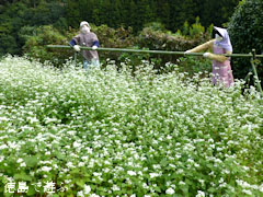 ���� �����β� 2012 ���� ����Τ ������β�