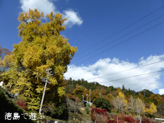 ����Į ����ݤ��������礦 2013