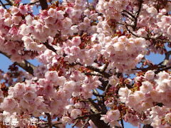 ξ������� ���� 2013