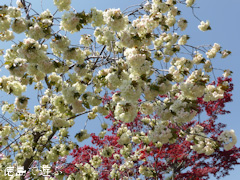 ���縩�������Į ���������� ������� 2014