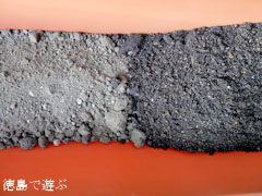 そば 蕎麦 種蒔き準備