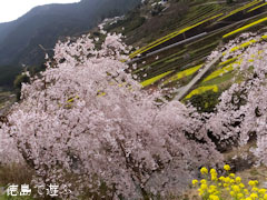 ���� ���� �ڤβ� 2013