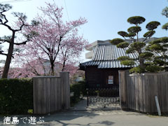 ���ĲȽ��� ˪�ܲ�� 2012