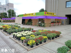 ���� �ƿͷ� �Ʋ�Ÿ 2010