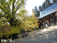�绳�� �����祦 ���� 2013