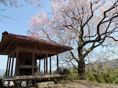 ��Ʋ �Ҥ礦����� 2012