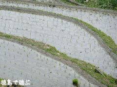 ���Ƥ�ê�� �Ŀ��� 2009