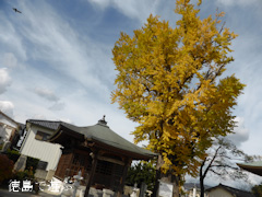 ��ʡ���Υ����祦 2013