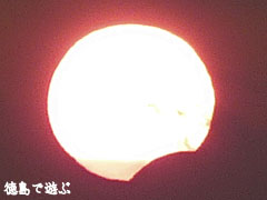 日入帯食 徳島 2010