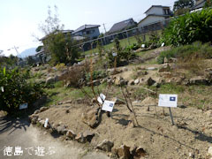 ������������� ���ѿ�ʪ�� 2012