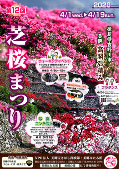 徳島県吉野川市美郷 第12回 高開石積み シバザクラまつり 2020