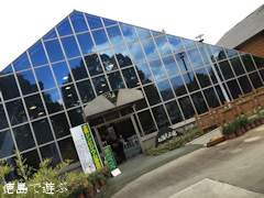 徳島県美馬市脇町 河野メリクロン 第16回 全国シンビジウム逸品展