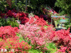 ���縩̾��������Į ��ʬ�֤α�Τ �ĥĥ� 2014
