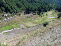 樫原の棚田 2010年秋冬
