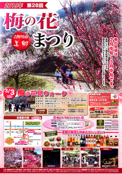 徳島県吉野川市 美郷 梅の花まつり 2019