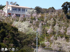 �ָ����κ� 2011