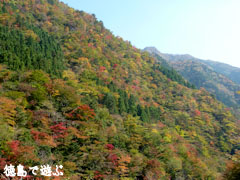 紅葉 那賀郡那賀町 旧 木沢