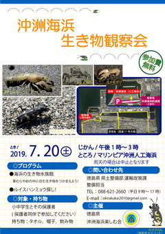 徳島県徳島市 マリンピア沖洲人工海浜 沖洲海浜生き物観察会 2019