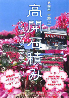 高開石積み シバザクラまつり 2012