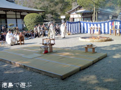 ����Ԣ��ε� ������ſ��� �������