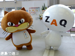 CATV ケーブルテレビ テレビ鳴門 ムヤくん ZAQ ざっくぅ