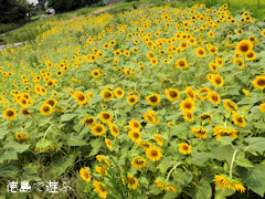 �͹�Ȭ��Ȭ�ս���� �輷�ֻ��� ���ڻ� �� �Ҥޤ�� ������ 2013