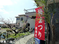 観梅苑 2011