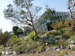 ������������� ���ѿ�ʪ�� 2012