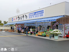 JF北灘 さかな市