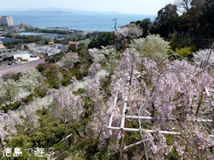 �ָ����κ� 2011