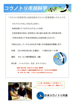 徳島県鳴門市 コウノトリ市民科学 コウノトリ目撃情報システム