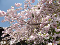 ���縩�������Į ���������� Ȭ�ź� 2014