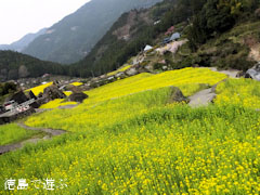 ���� ���� �ڤβ� 2013